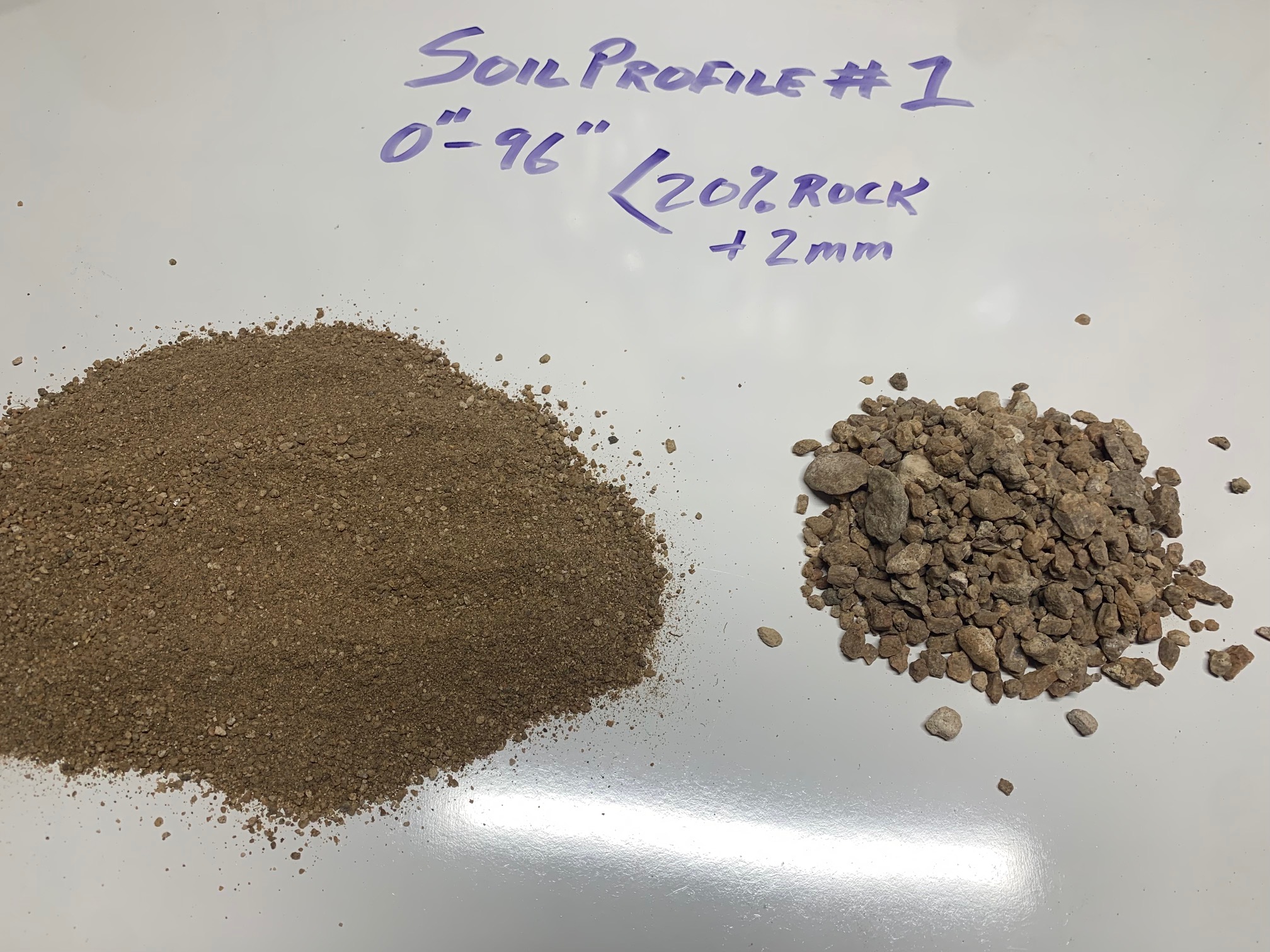 Soil profile 1