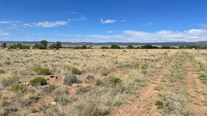 Greenstead Land View 3